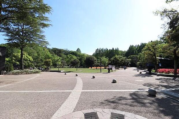 多摩丘陵に広がる川崎市最大の緑地。芝生広場、自然探勝路の他「日本民家園」や「岡本太郎美術館」、プラネタリウムを持つ「かわさき宙（そら）と緑の科学館」などがあり様々な楽しみ方ができます。