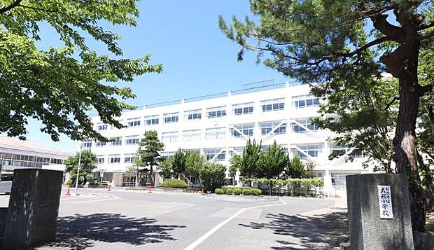 新潟市立大形小学校まで1255m
