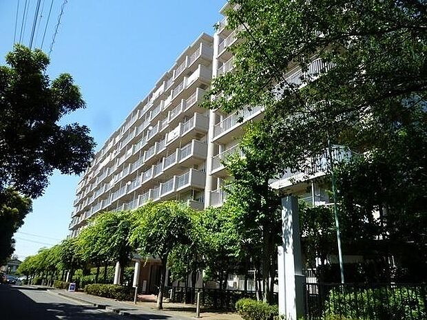 ラミーユ大宮ハイライズ一番館ソレール棟(3LDK) 1階のその他画像