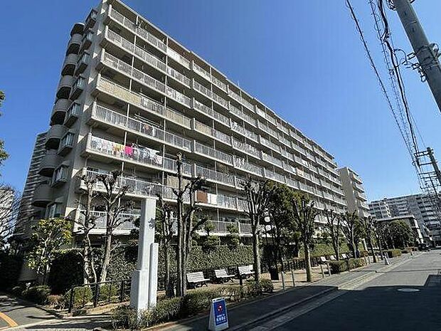 ラミーユ大宮ハイライズ一番館ソレール棟(3LDK) 1階のその他画像