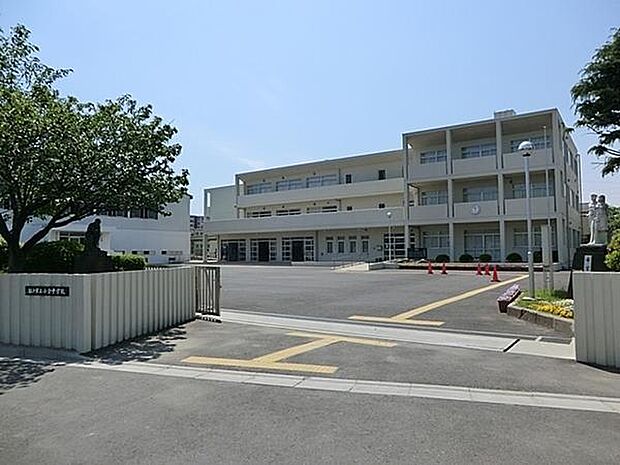 松戸市立小金中学校まで560m