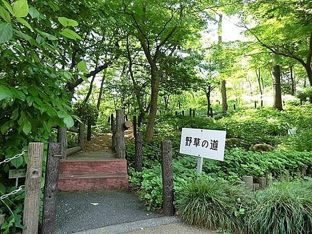 赤塚植物園まで1800m