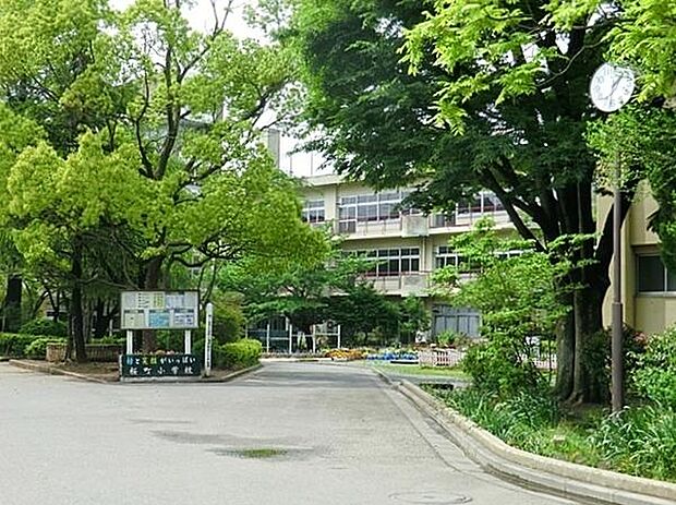 川口市立桜町小学校まで962m