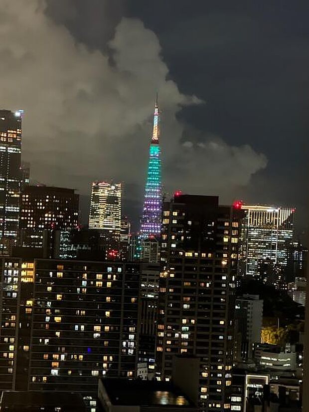 東京タワーを望む夕景