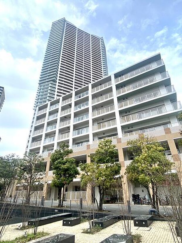 アーバンドックパークシティ豊洲タワーA(3LDK) 8階のその他画像