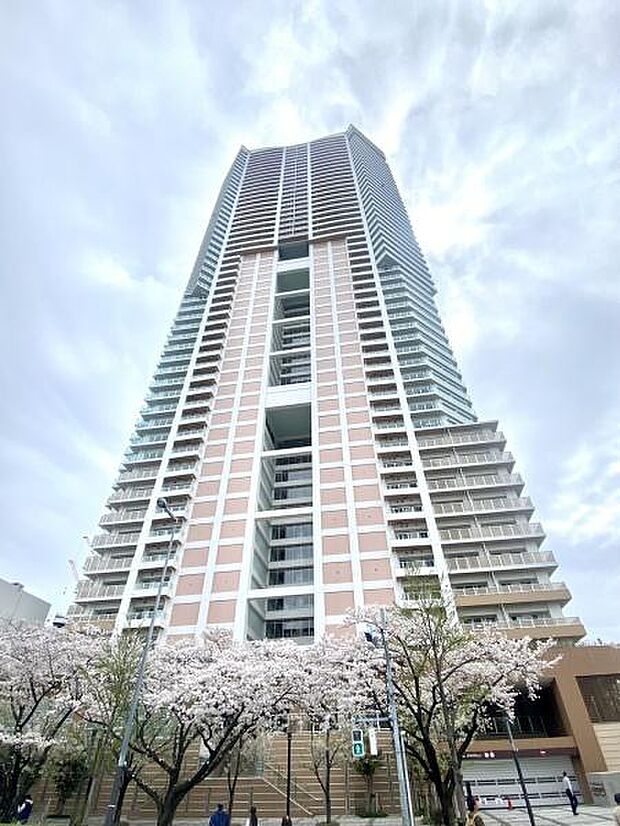 アーバンドックパークシティ豊洲タワーA(3LDK) 8階のその他画像