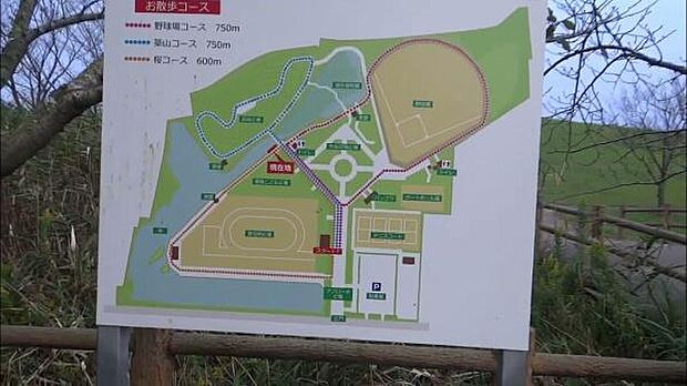 長生村尼ケ台総合公園テニスコートまで766m