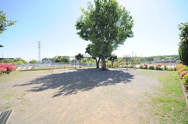 上安松中道公園（所沢市）（530m）