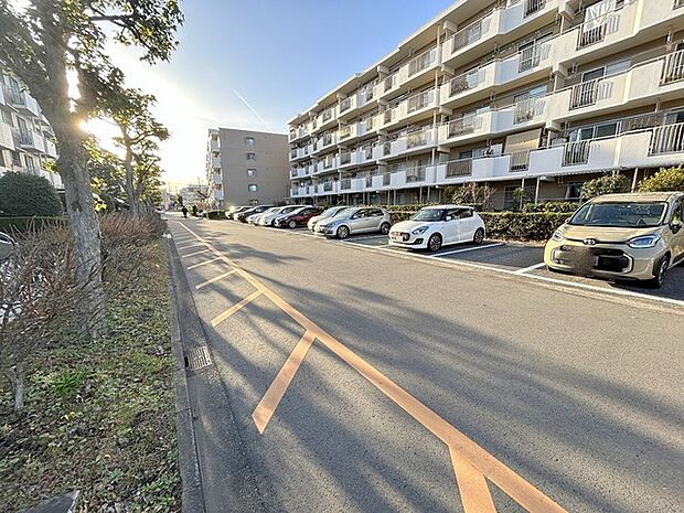 蓮田駅前住宅8号棟(3LDK) 5階のその他画像