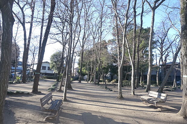 鎌倉公園（100m）