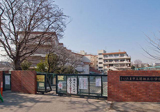 さいたま市立道祖土小学校（540m）