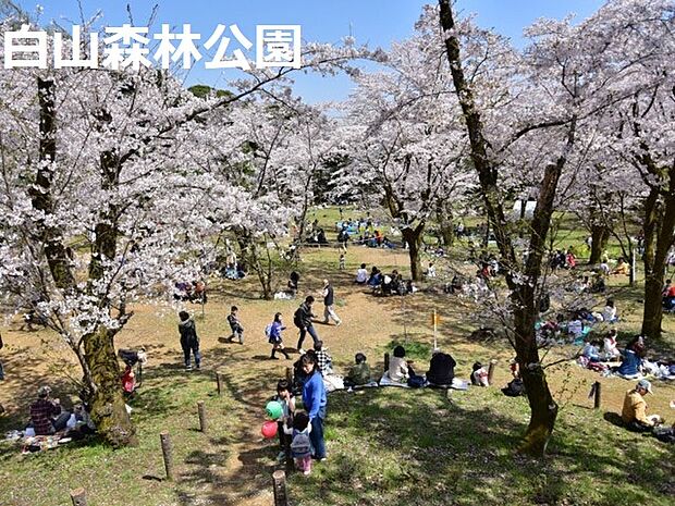 戸建　厚木市妻田南(3LDK)のその他画像