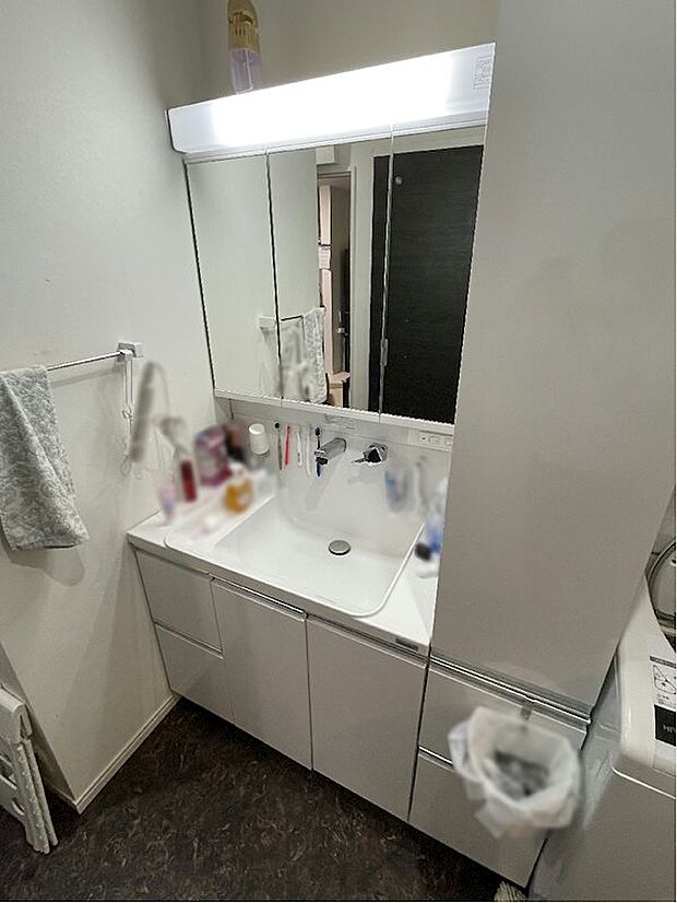 三面鏡のシャワー付洗面台、収納棚付きで洗剤やタオルなどの収納にも便利