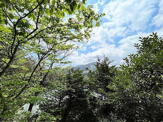 南西方向に広がる箱根外輪山の山並みをご覧いただけます。