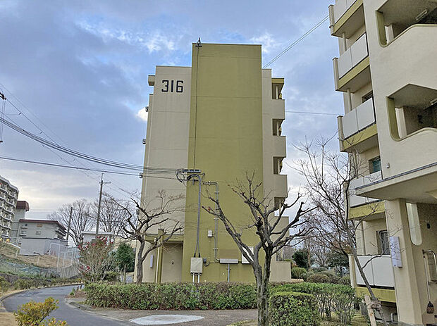 男山第4住宅316号棟(3DK) 2階のその他画像