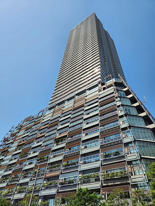 Brillia Tower池袋(3LDK) 49階/4903の外観