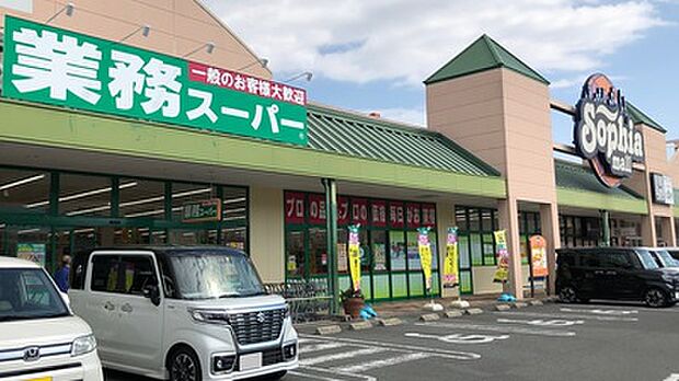 業務スーパー ソフィアモール松井山手店（452m）