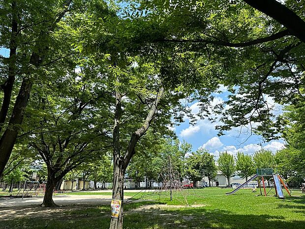 「本庄南公園」まで徒歩約３分（約180ｍ）遊具のある大きな公園です。木々に溢れ、木陰でゆっくりくつろぐことも出来ます。