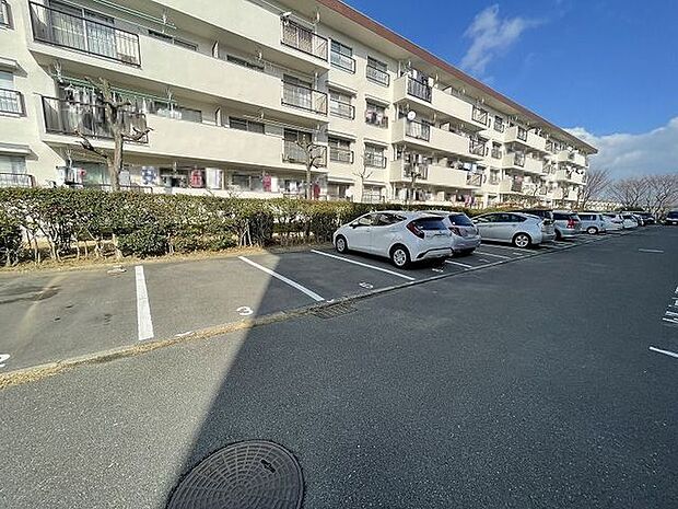 香里三井第三次住宅Ａ29棟(3K) 4階のその他画像