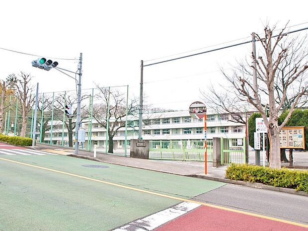町田市立金井小学校　距離約700m