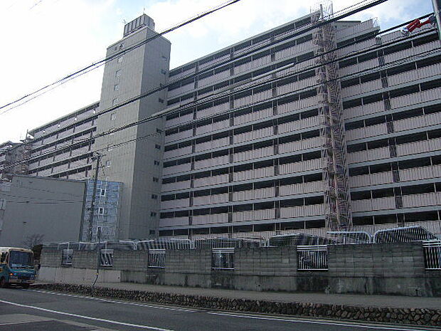 桜台ハイツ3号棟(2LDK) 10階のその他画像