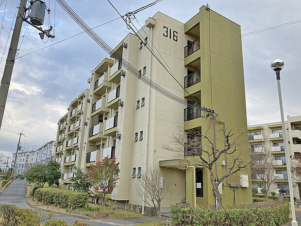 男山第4住宅316号棟(3DK) 2階の外観