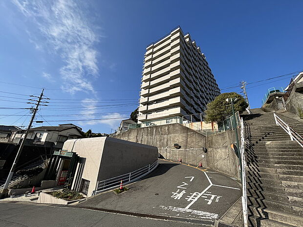 トーカンマンション昭和町(3LDK) 15階のその他画像