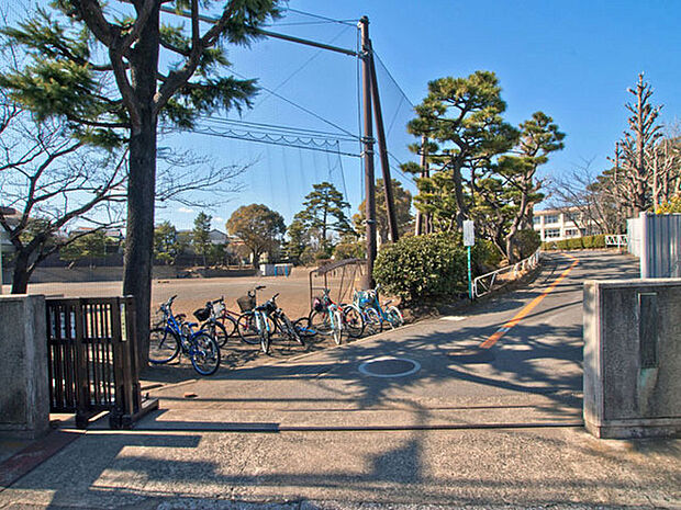 藤沢小学校まで725m