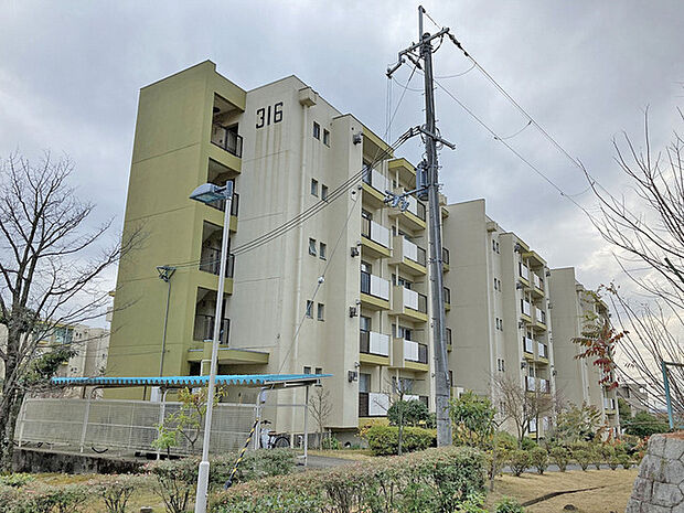 男山第4住宅316号棟(3DK) 2階のその他画像