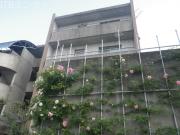 頭陀寺町323BLD