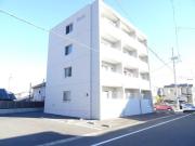 ルーツ