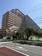 スターコート豊洲（Star Court Toyosu）