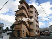 オリーブ住吉