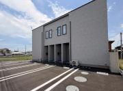 ファレノプシス 101 号