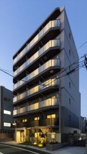 DIPS野方