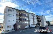 ファミール白針
