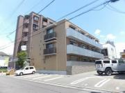 ロックフィールド11