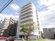 willDo南12条
