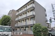 椎の実3