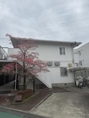 エステートダイミー