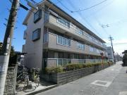 近鉄南大阪線藤井寺駅まで徒歩13分