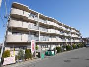 アンソレイエ アオキ