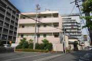 CHERRY AKUTA