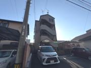 ダンディライオン