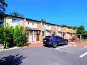 シャルマンノルド