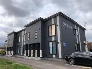 ZYX1-1