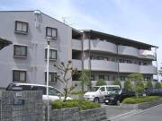 シェラ金剛