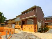 オースター アベリア