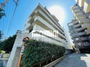 MT COURT