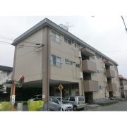 熊本県熊本市南区近見３丁目